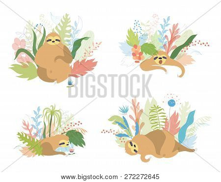 Vector Illustration Set Of Cute Character Sloth. Isolated Cartoon Baby Climbing Sloths. Hand Drawn J