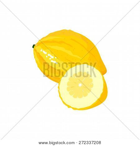 Citron Isolated On White Background. Bright Vector Illustration Of Colorful Half And Whole Of Juicy 