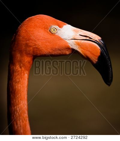 Megbaisden_0003