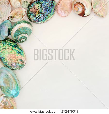 Seashell background border on parchment paper with mother of pearl shells. Top view