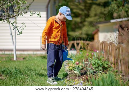 European Boy With The Blue Watering Can Is Helping To Water The Flowers In The Croft.
