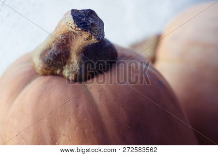 Two Ripe Pumpkins Lie On A Light Background In Macro Mode