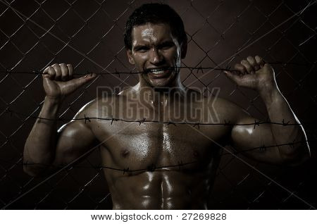 Felon คน
