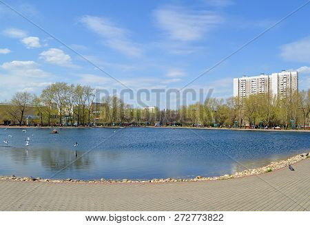 Pond Mars In A Recreation Area In Altufevo, Moscow
