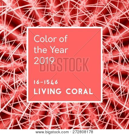 Abstract Background. Cactus Spines In Trendy Living Coral Pastel Color. Inscription Color Of The Yea
