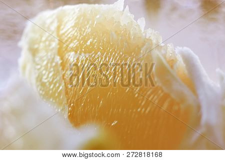 Slice Of Juicy Ripe Tangerine In Macro Mode