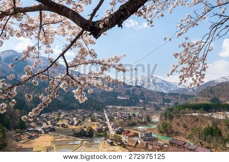 Aerial View Of Shirakawa-go Village With Full Bloom Cherry Blossom, Japan