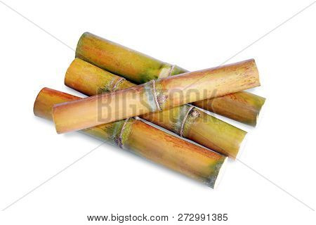Sugar Cane Heap, Pile Of Cane, Sugarcane Piece Fresh, Sugar Cane On White Background, Sugarcane Fres