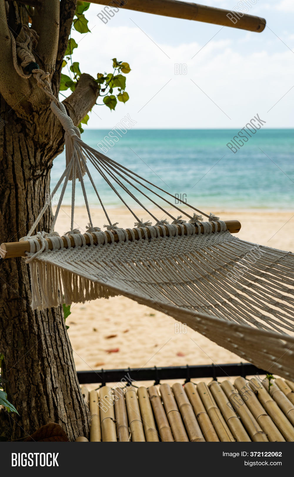 Hammock On Tropical Image & Photo (Free Trial) Bigstock