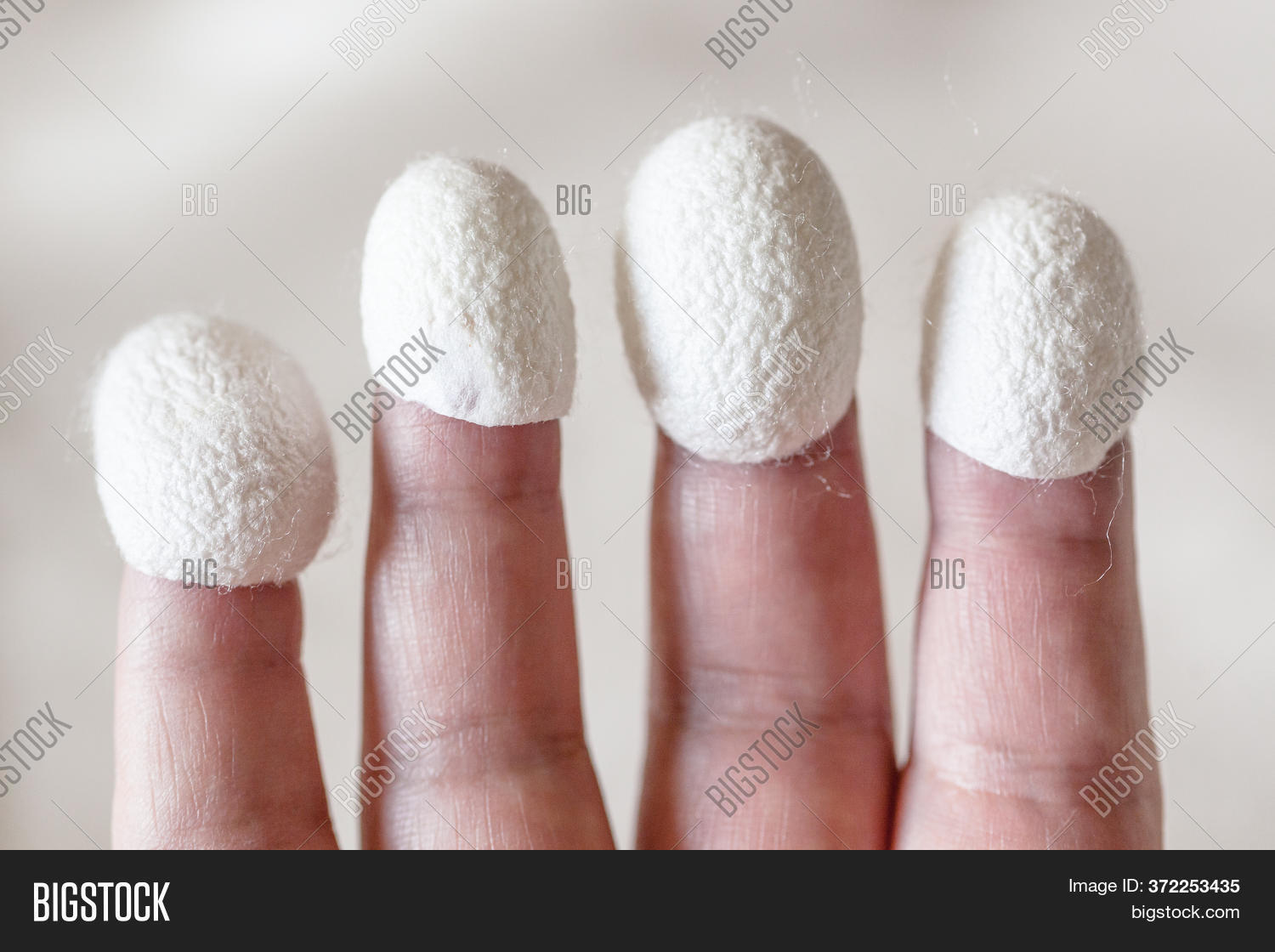 Organic Silk Cocoons Image & Photo (Free Trial) | Bigstock