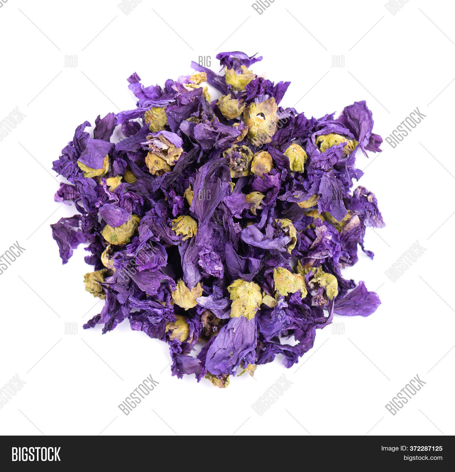 Dry Mallow Flowers, Image & Photo (Free Trial) Bigstock