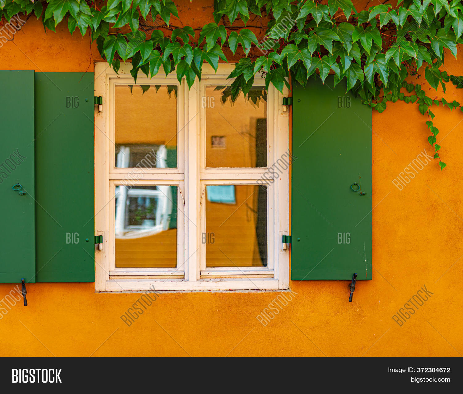 : изображения и фото (бесплатная пробная версия) | Bigstock