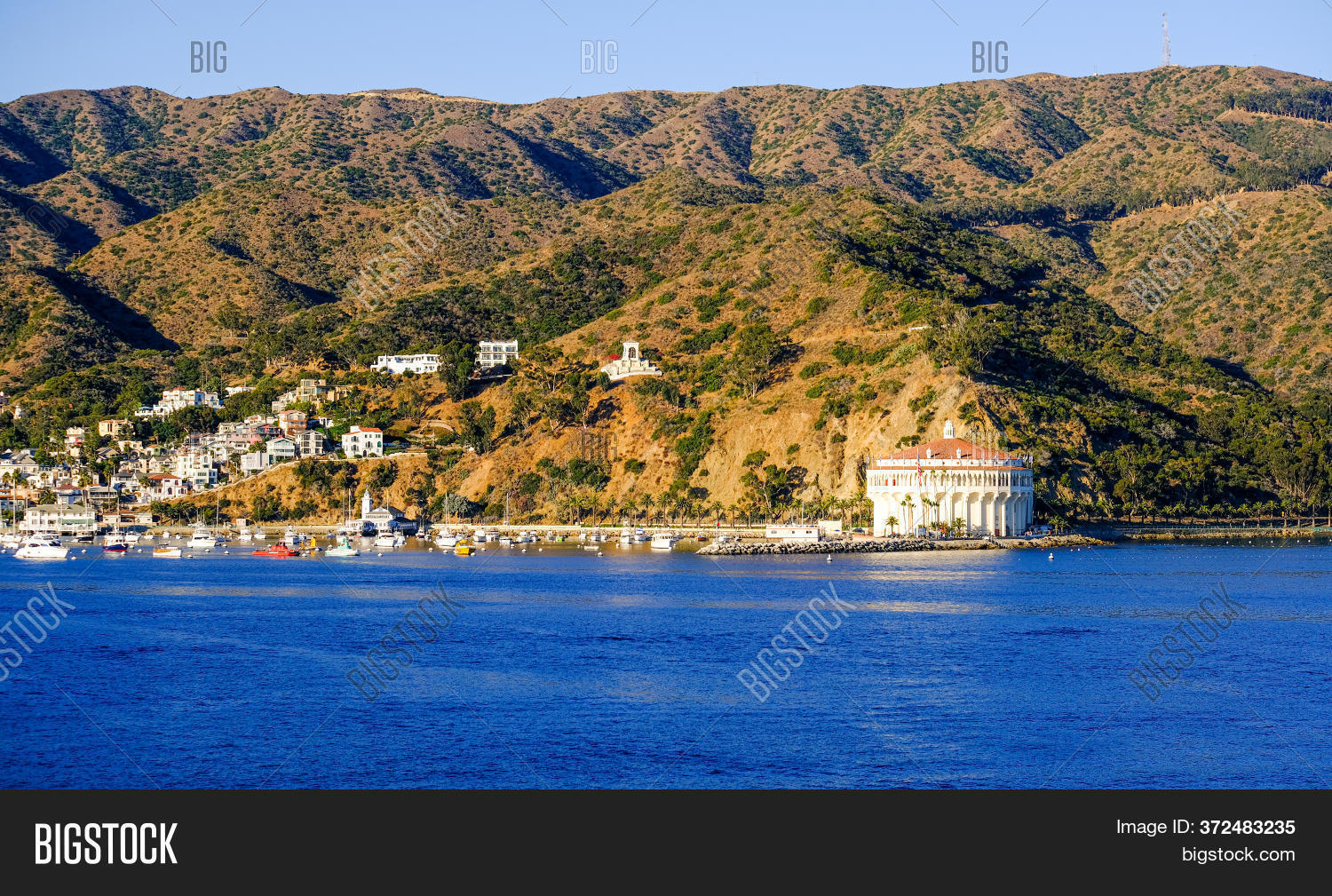 Avalon, California Image & Photo (Free Trial) Bigstock
