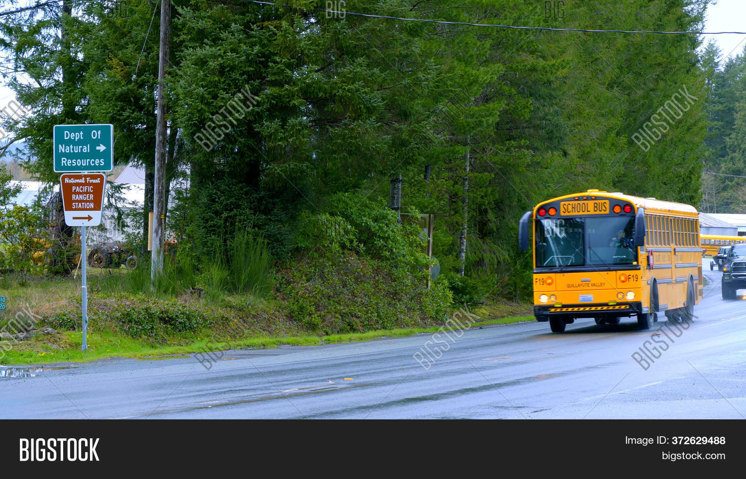 School Bus City Forks Image & Photo (Free Trial) Bigstock