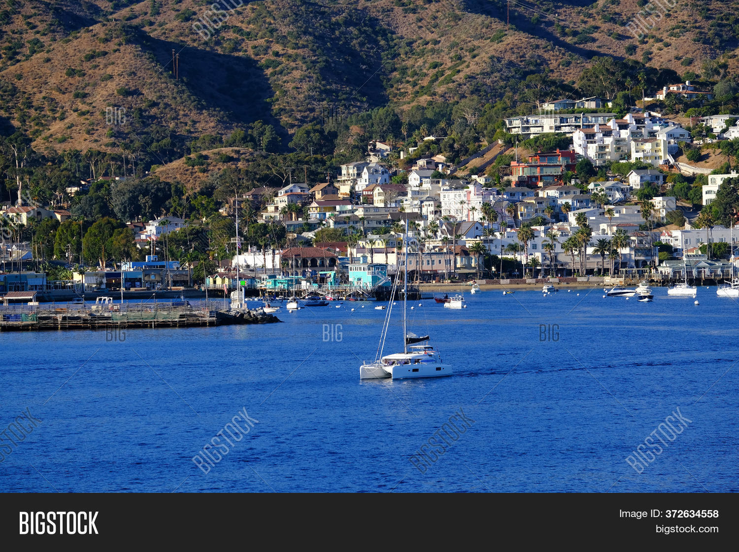 Avalon, California Image & Photo (Free Trial) Bigstock