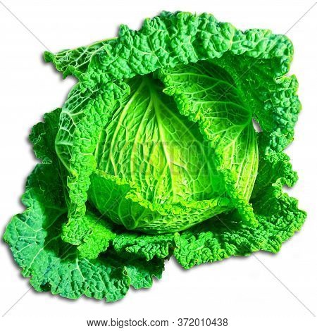 Cabbage Isolated On A Background. Agriculture. Healthy And Healthy Food For Humans. Selective Focus.