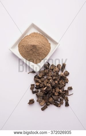 Black Musli / Moosli - Curculigo Orchioides Is An Indian Ayurvedic Herb