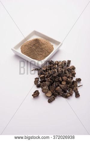 Black Musli / Moosli - Curculigo Orchioides Is An Indian Ayurvedic Herb