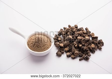 Black Musli / Moosli - Curculigo Orchioides Is An Indian Ayurvedic Herb
