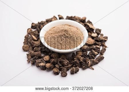 Black Musli / Moosli - Curculigo Orchioides Is An Indian Ayurvedic Herb