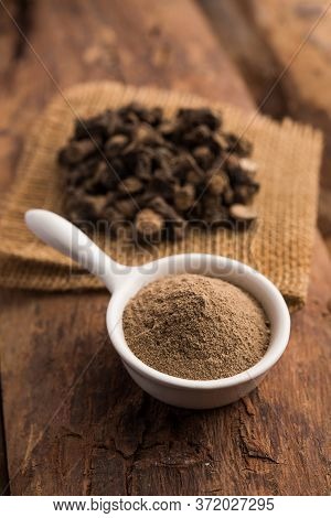 Black Musli / Moosli - Curculigo Orchioides Is An Indian Ayurvedic Herb