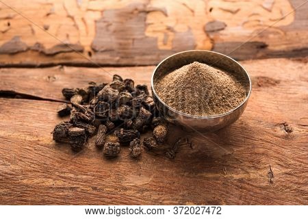 Black Musli / Moosli - Curculigo Orchioides Is An Indian Ayurvedic Herb