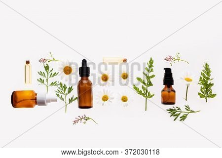 Chamomile Flowers And Cosmetic Bottles Of Essential Oil On White Background, Top View
Concept Of Nat