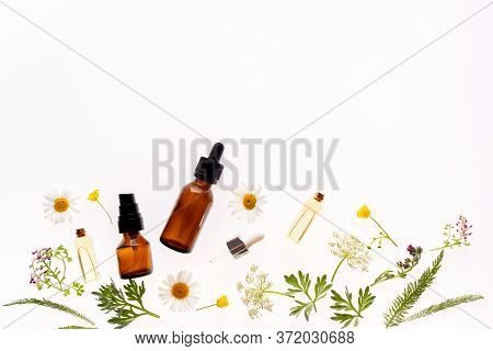 Chamomile Flowers And Cosmetic Bottles Of Essential Oil On White Background, Top View
Concept Of Nat