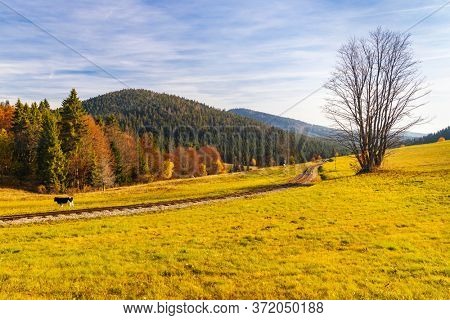 autumn landscape with forest railway near saddle Beskyd in Slovakia