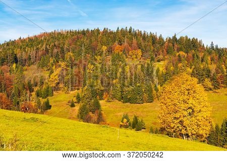 autumn landscape near saddle Beskyd in Slovakia