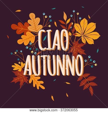 Hello Autumn Background In Italian Language With Fall Leaves. Nature Autumnal Vector Concept. Orange