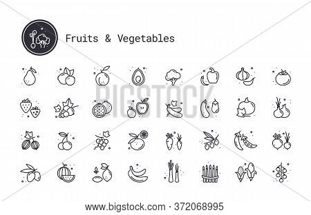 Vegetables, Fruits, Berries Thin Line Vector Icons. Fruit Orchard, Farm Harvest, Growing Fruit And V