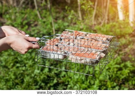 Female Hands Hold A Metal Grill With Steaks Of Fresh Red Fish On A Background Of Green Grass Pickled