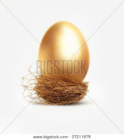 Gouden ei In een Nest
