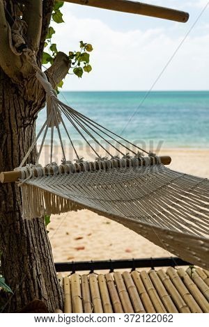 Hammock on the tropical beach