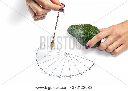 Dowser With Hand-held Pendulum Checks The Usefulness Of Avocado Fruit.