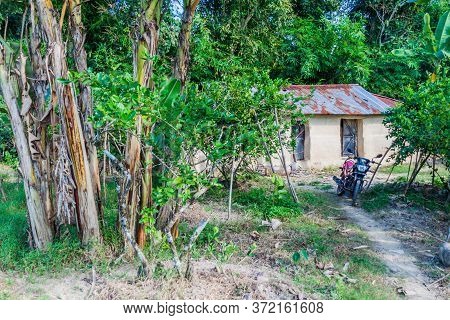 Village House In Lowacherra National Park Near Srimangal, Bangladesh