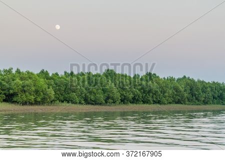 Coast Of Dublar Char Dubla Island , Bangladesh