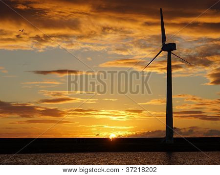 Wind Turbine