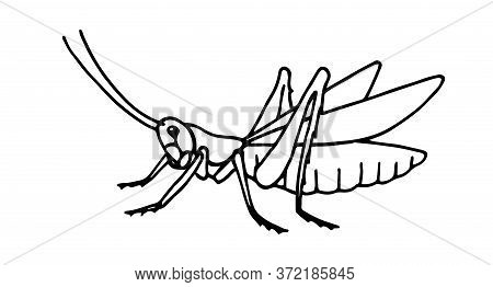 Grasshopper.eps