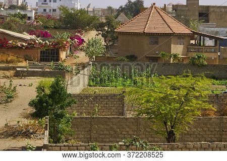 Senegal, Africa - March Circa, 2016. Unidentified Men Working, Watering The Village Garden, For Vege