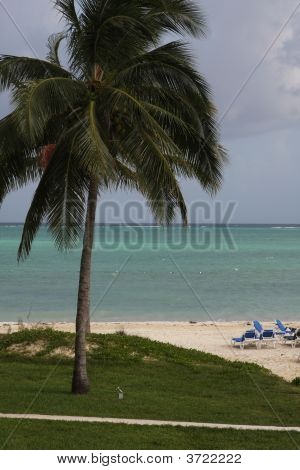 Praia de Bahamas