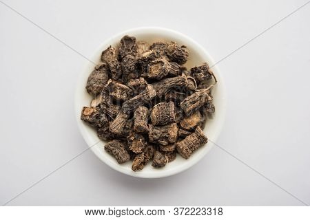 Black Musli / Moosli - Curculigo Orchioides Is An Indian Ayurvedic Herb