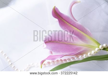 Pink Lily And Pearls On White. Wedding Background