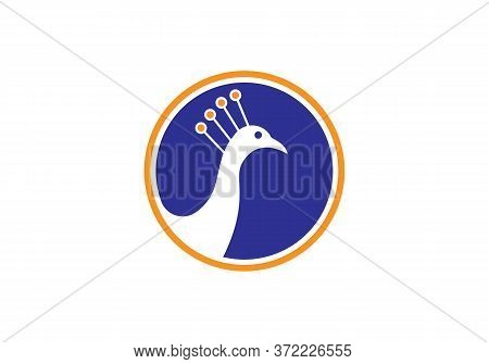 Awesome Peacock Logo Design Vector Stock Illustration. Peacock Logo Design With Blue And Orange Colo