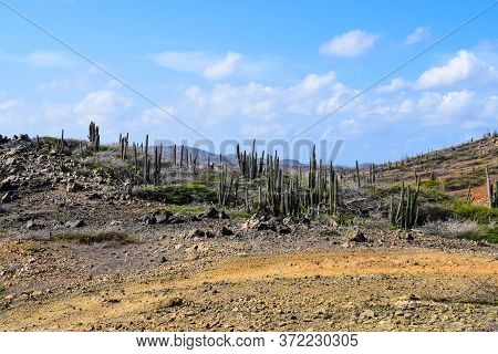 Arikok Natural Park On The Island Of Aruba In The Caribbean Sea With Deserts And Ocean Waves On The