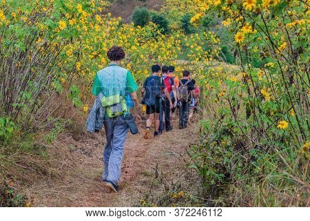 Hsipaw, Myanmar - December 1, 2016: Participants Of A Guided Hike Around Hsipaw, Myanmar