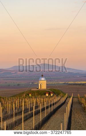 Vineyards near Velke Bilovice with Palava in Southern Moravia, Czech Republic