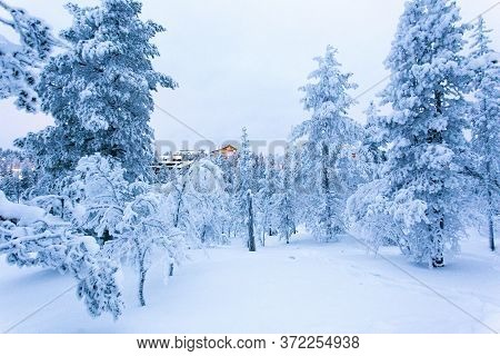 Saariselka, Finland - December 31, 2017: Photo In The White Wood Of Saariselka During Winter