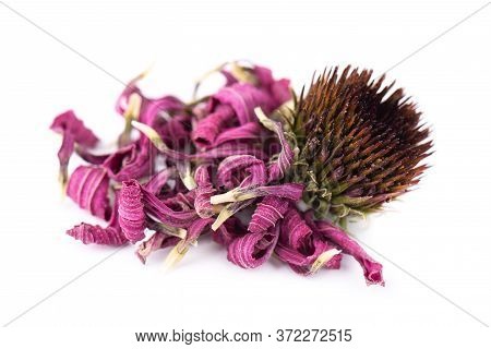 Dried Echinacea Flowers, Isolated On White Background. Petals Of Echinacea Purpurea. Medicinal Herbs